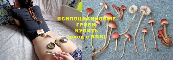 молекула духа Аркадак