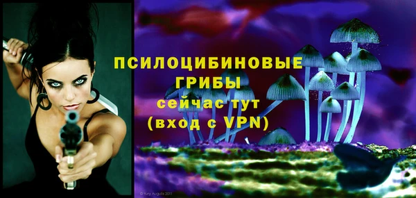 apvp Арсеньев