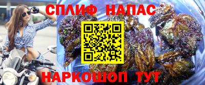 винт Партизанск