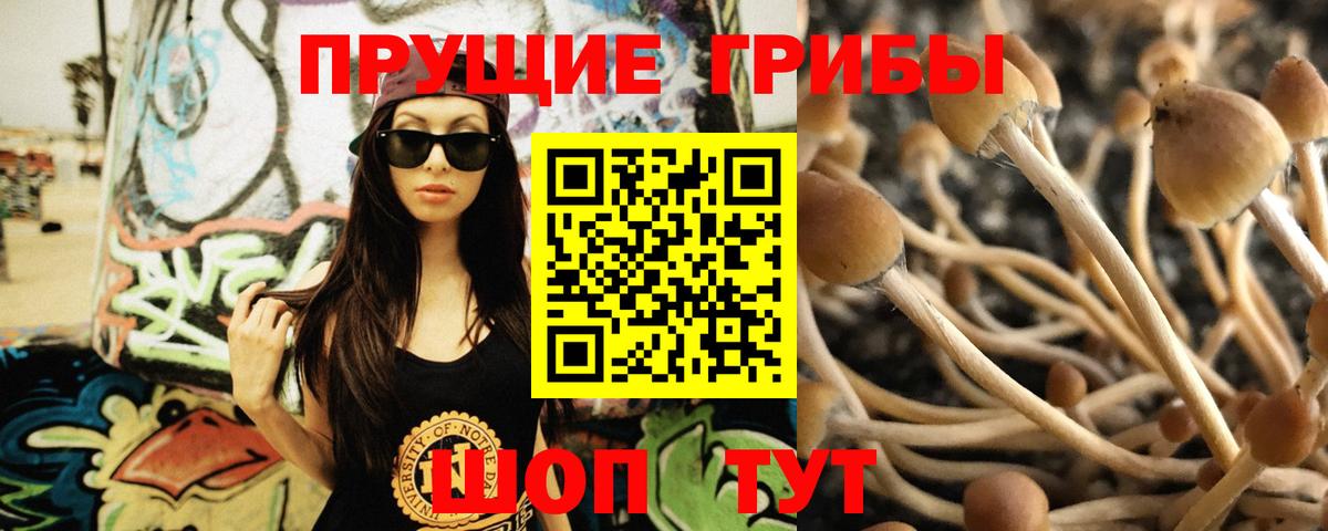 Сердобск  АМФ   Вход с VPN  Codein  Каннабис  ГАШ  МЕФ   Альфа ПВП СОЛЬ  