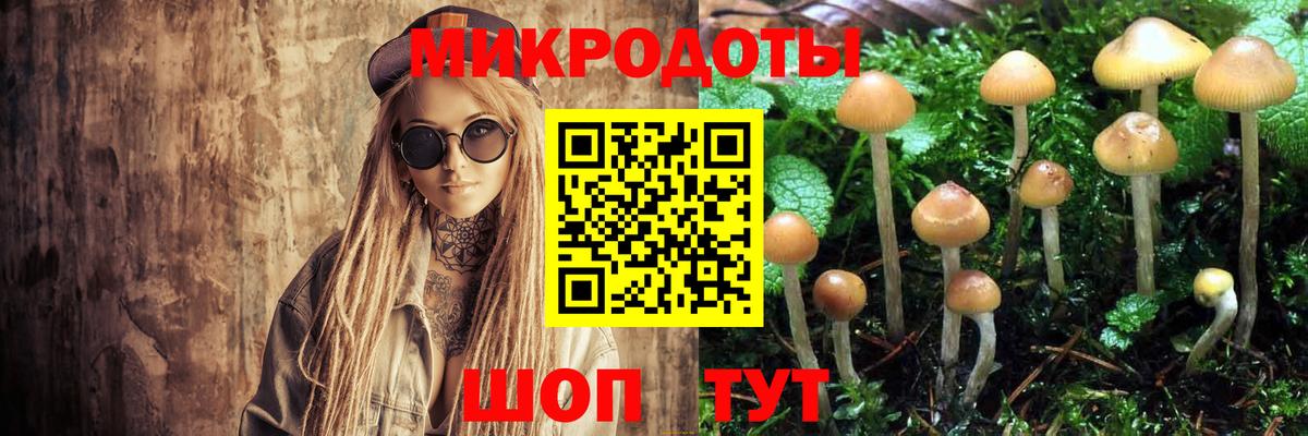 Галлюциногенные грибы GOLDEN TEACHER  Галлюциногенные грибы MAGIC MUSHROOMS  что такое   Вход с VPN  Сердобск 